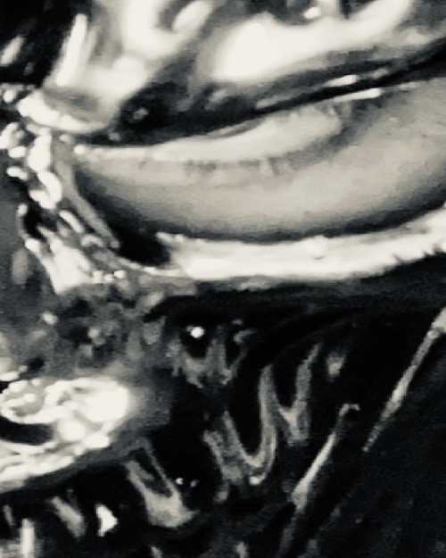 devlin black | Available Angels